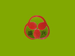 數(shù)字化轉(zhuǎn)型助力區(qū)域擴(kuò)張 天津盛興食品廠在常州市場的代理機(jī)遇與軟件服務(wù)支持