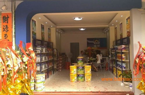 探索中國油漆市場 十大品牌盤點(diǎn)、代理機(jī)遇分析與寶瑩漆深度解析